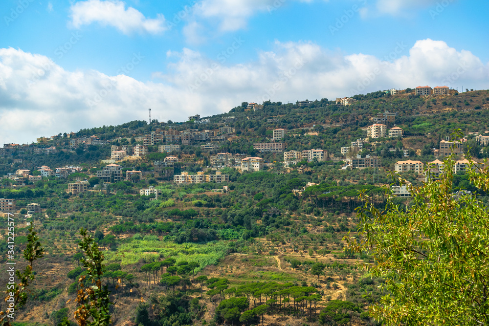 The Mountains of Lebanon are the Symbol of the Country. After Centuries of Persistent Deforestation