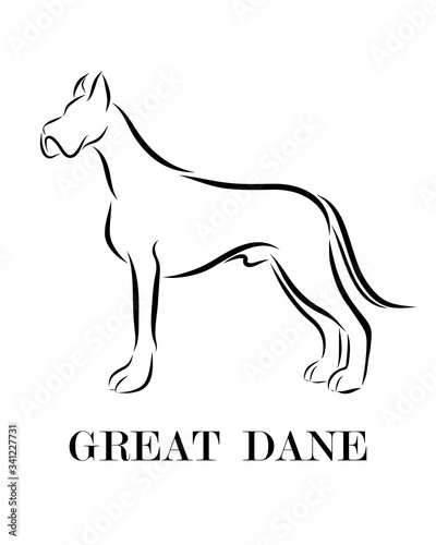 Great Dane dog line art eps 10