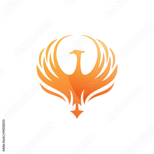 Fire bird phoenix logo design, falcon, eagle, hawk and wing vector icon