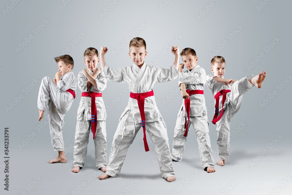 A boy in a kimono in different karate poses on a light background. The concept of karate lesson, a circle for the child, sports education, character. A boy in a kimono in different karate poses on a light background. The concept of karate lesson, a circle for the child, sports education, character.