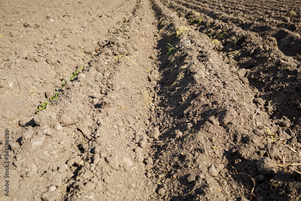 loose soil before planting vegetables on a spring day, agriculture loose soil before planting vegetables on a spring day, agriculture