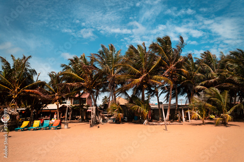 Kolorowe leżaki na pięknej pomarańczowej piaszczystej plaży w tle las palm kokosowych i niebieskie niebo z chmurami. photo