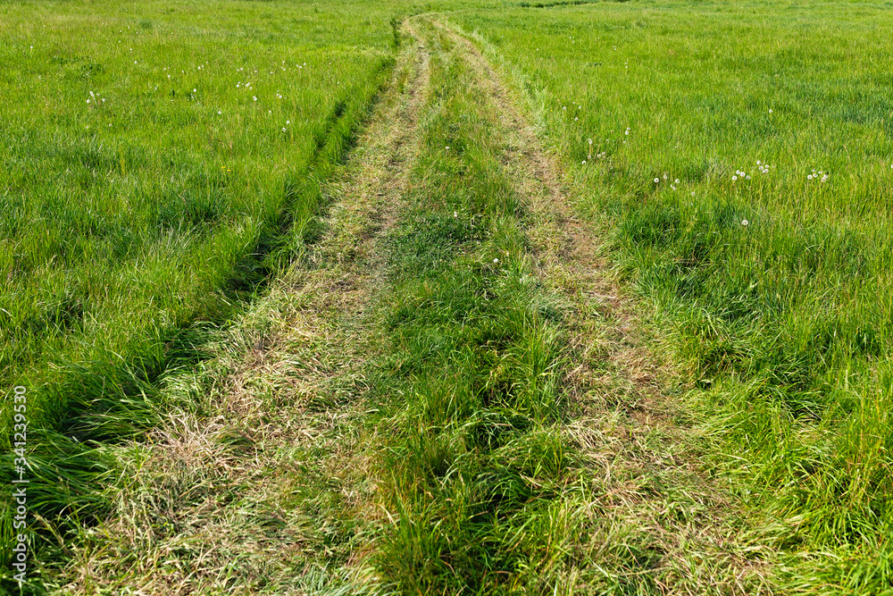 Off road two lane footpath in tall, green grass leading into the distance