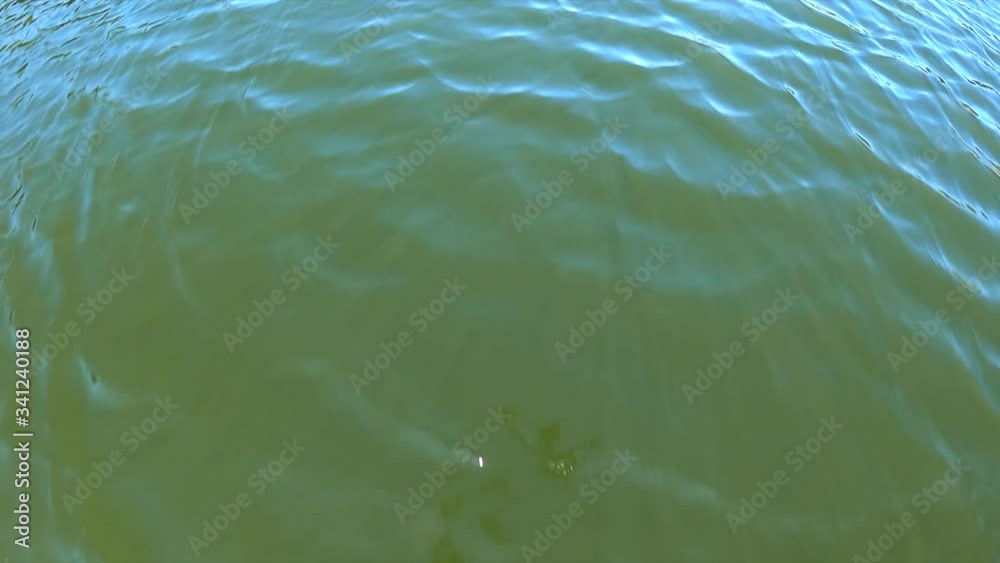 Fly low over a lake or sea water. Fly over the surface Fly low over a lake or sea water. Fly over the surface