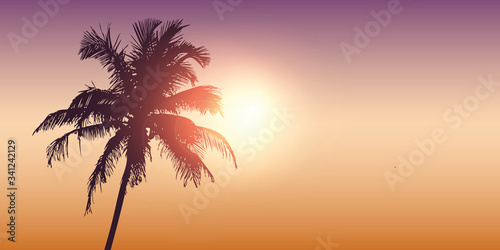 palm trees silhouette on a sunny day summer holiday design vector illustration EPS10