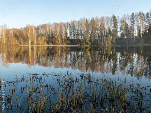 tree reflections in water, early spring landscape