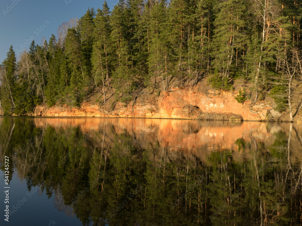 Fototapeta premium tree reflections in water
