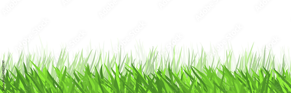 seamless floral grass panorama background seamless floral grass panorama background