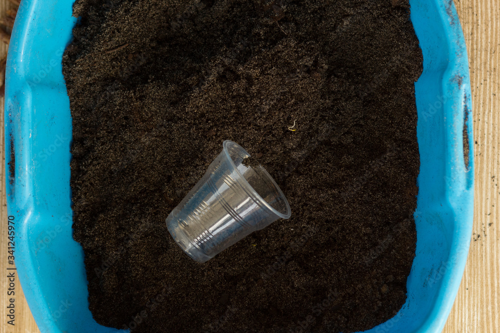 Top view of empty plastic cup to fill it with soil for seeding and cutting Top view of empty plastic cup to fill it with soil for seeding and cutting