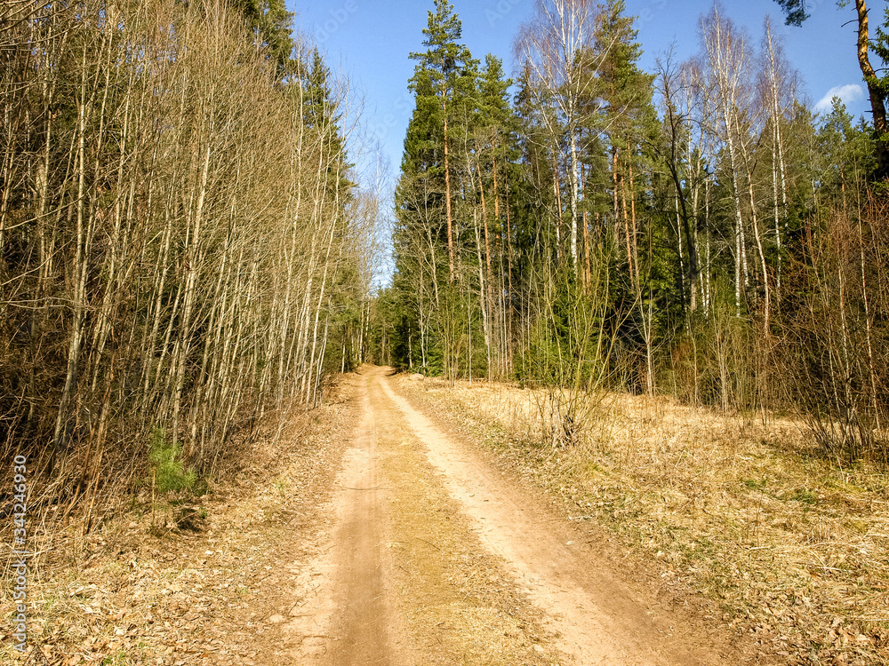 landscape with a simple country road