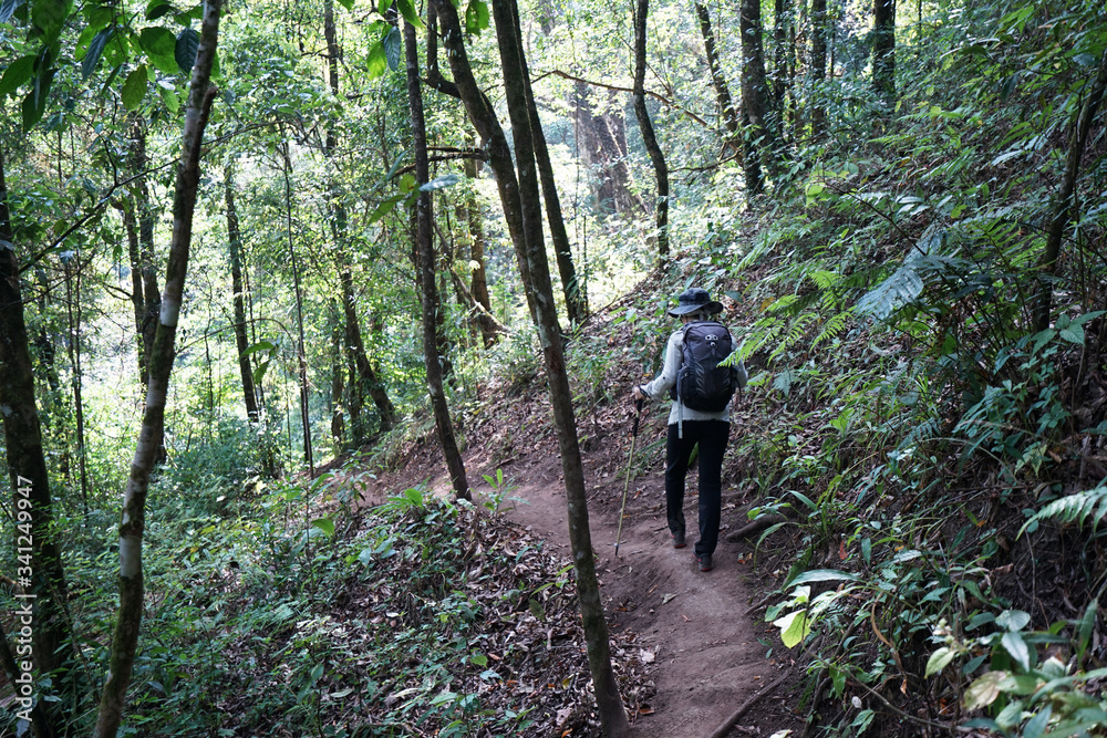 A girl trekking along natural trail pathway among green forest park