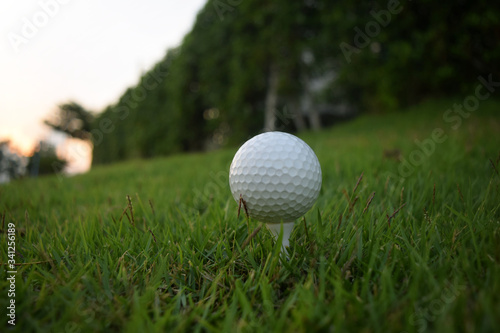 Golf on the green grass and the wood is ready for the hit.