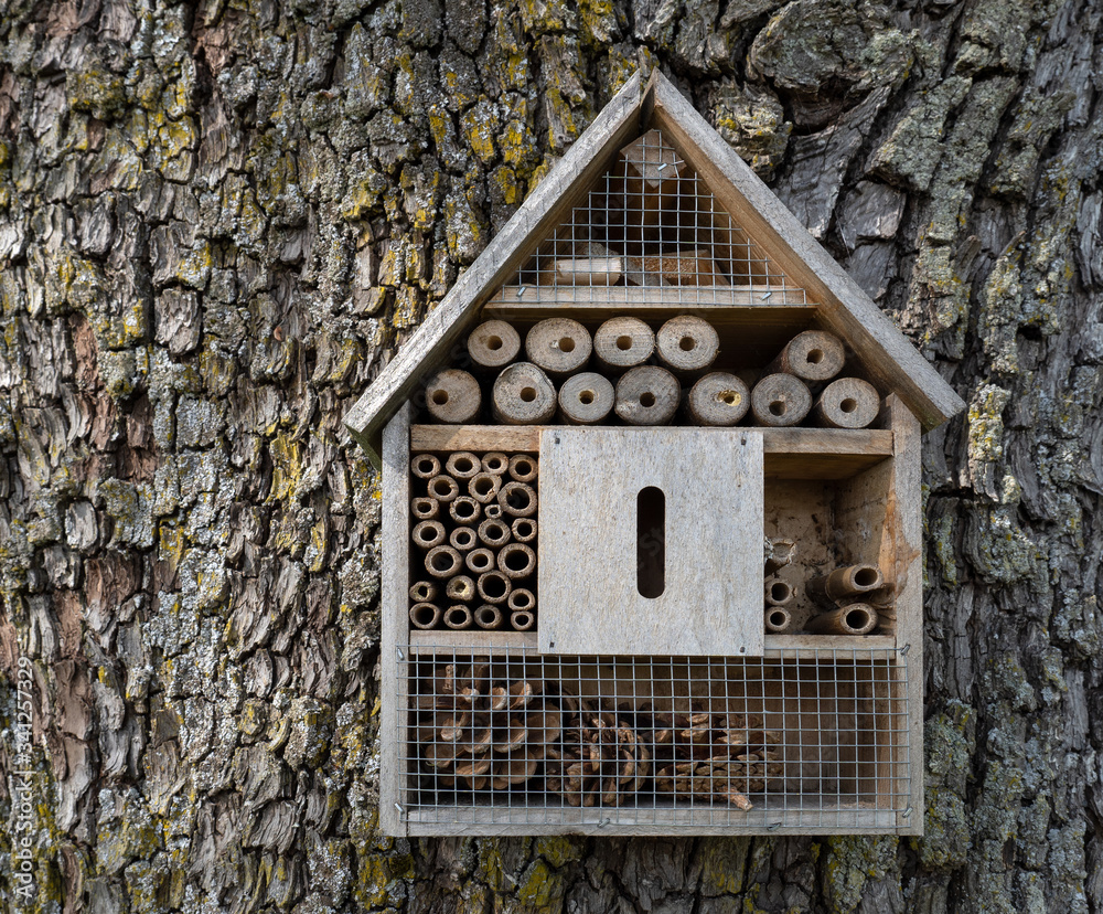 Insektenhotel in Form eines Hauses an der groben Rinde eines Baumstamms Insektenhotel in Form eines Hauses an der groben Rinde eines Baumstamms