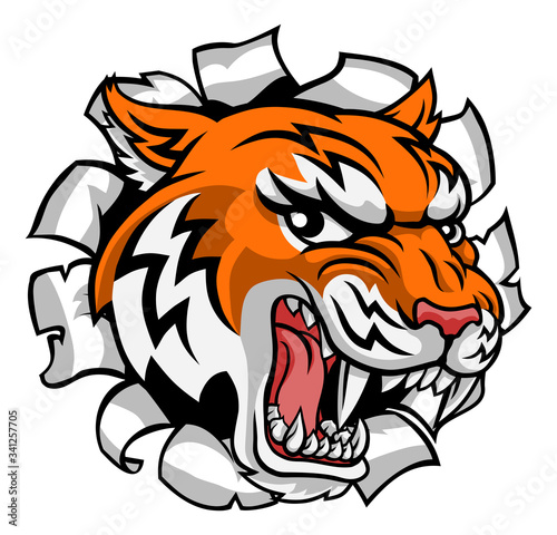 Fototapeta Naklejka Na Ścianę i Meble -  A tiger cartoon animal mascot tearing or ripping through the background