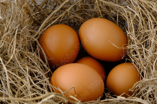 nest with raw chicken eggs on wooden background
