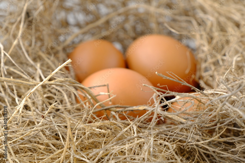 nest with raw chicken eggs on wooden background
nest with raw chicken eggs on wooden background