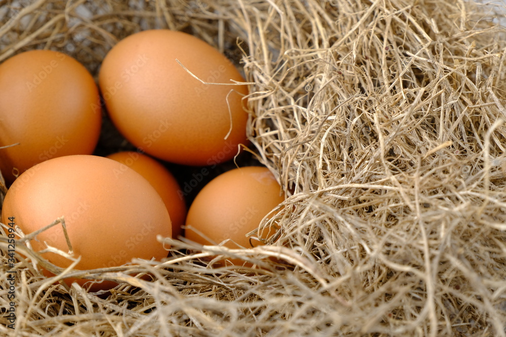 nest with raw chicken eggs on wooden background
nest with raw chicken eggs on wooden background