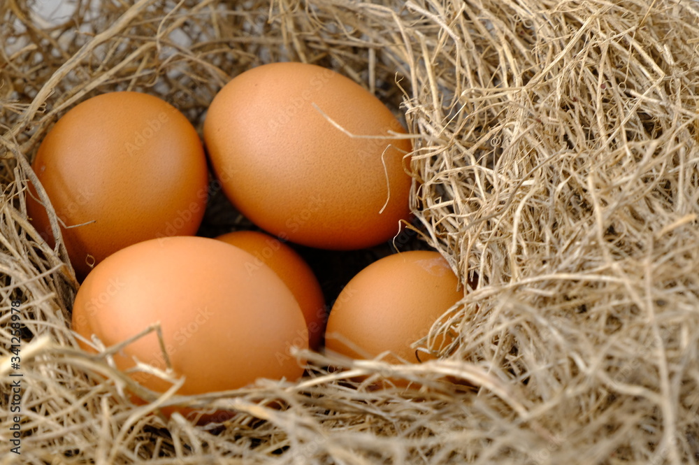 nest with raw chicken eggs on wooden background
nest with raw chicken eggs on wooden background