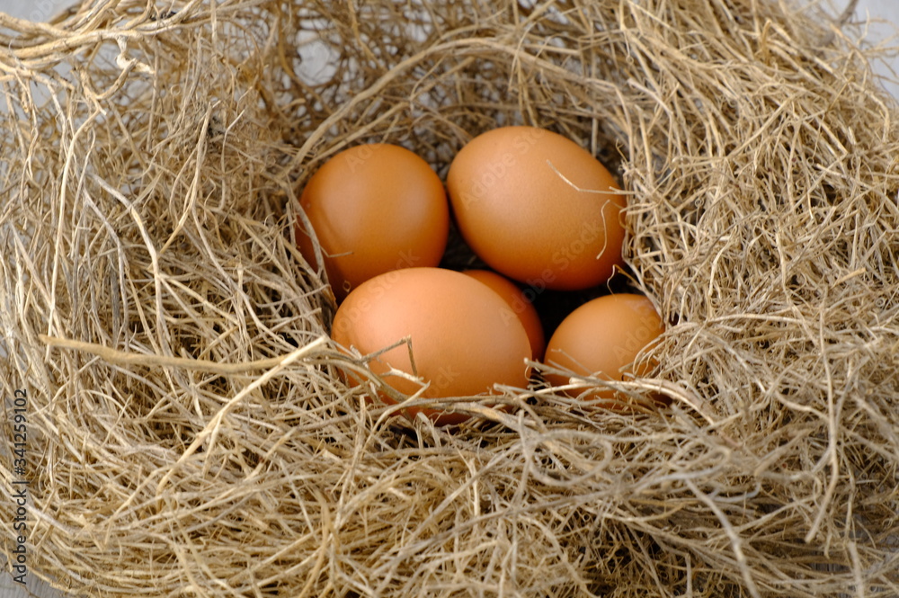 nest with raw chicken eggs on wooden background
