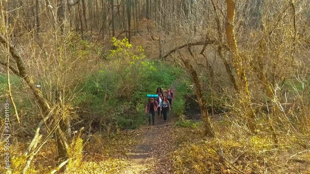 Young hikers on walking tour in autumn forest on sunny day Young hikers on walking tour in autumn forest on sunny day
