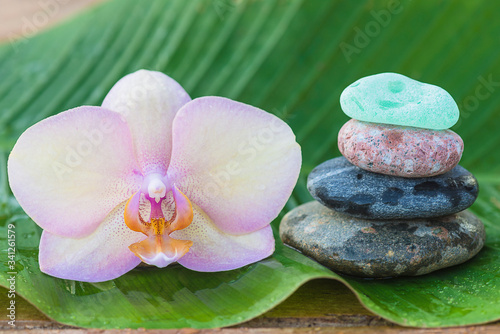 Pink orchid flower and stones pyramid on wet banana leaf. Close up