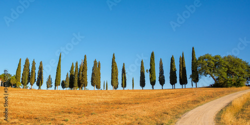 Beautiful typical panorama with cypress trees alley in Tuscany, Italy