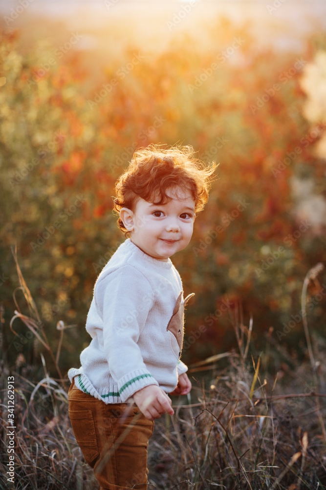 Portrait of cute little boy staying on the grass. Smiling child, curly hair toddler in autumn park. Portrait of cute little boy staying on the grass. Smiling child, curly hair toddler in autumn park.