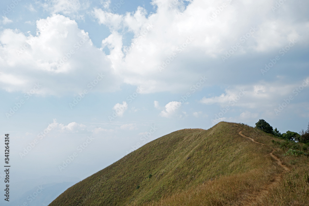 Fototapeta premium Natural landscape of grassy pathway to the mountain peak with cloudy blue sky