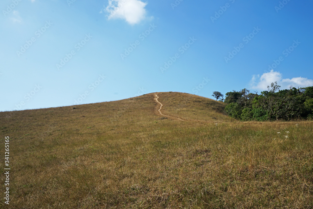 Natural landscape of grassy pathway to the mountain peak with cloudy blue sky