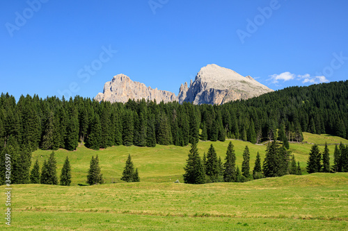 Sassolungo e Sassopiatto dall'Alpe di Siusi