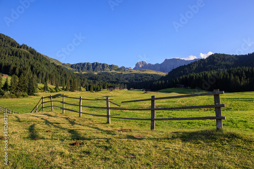 pascoli all'Alpe di Siusi