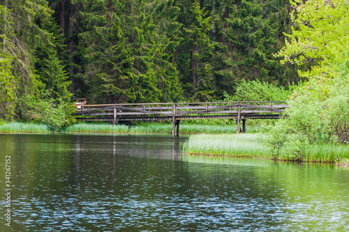 étang de la Gruère, la gruère, Moorsee, See, Weiher, Moor, Hochmoor, Wanderweg, Holzbrücke, Mühle, Torfmoos, Wald, Waldweg, Jura, Frühling, Sommer, Schweiz