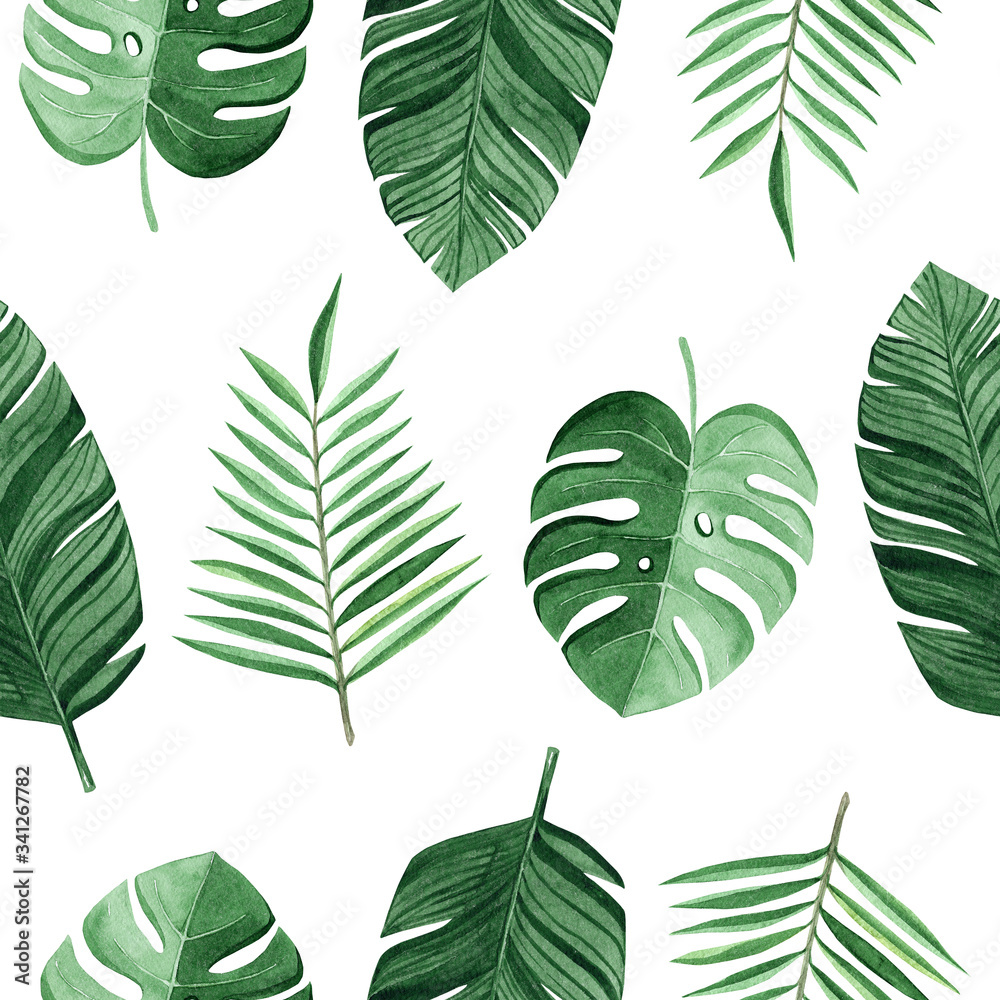 watercolor green tropical palm and monstera leaves seamless pattern on white background for fabric,textile,branding,invitations,scrapbooking,wrapping watercolor green tropical palm and monstera leaves seamless pattern on white background for fabric,textile,branding,invitations,scrapbooking,wrapping