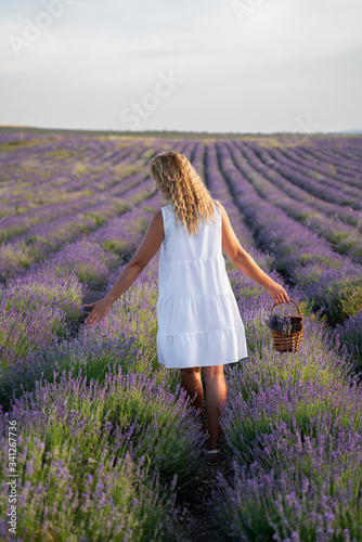 A girl in a white dress walks on a lavado field with a basket. sunny day, weekend concept, walk in nature © svetograph