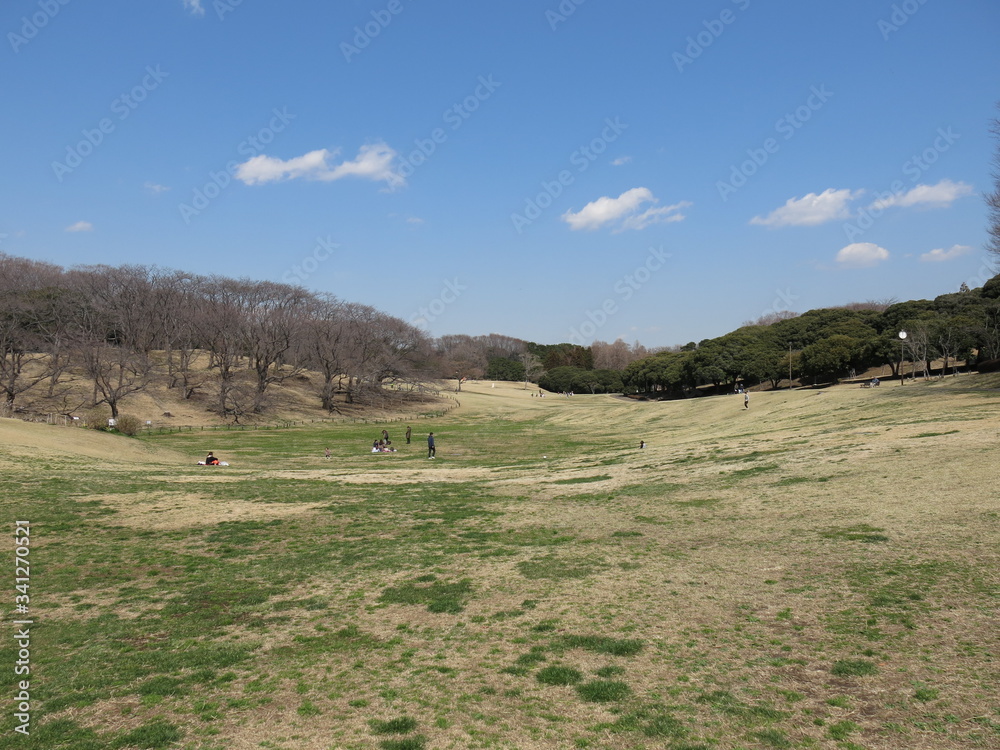 根岸森林公園の芝生広場　Negishi Forest Park