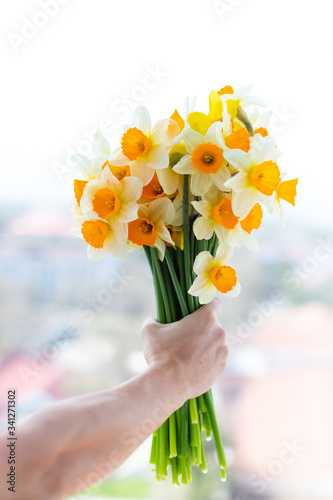 Fresh narcissus flower in hands 