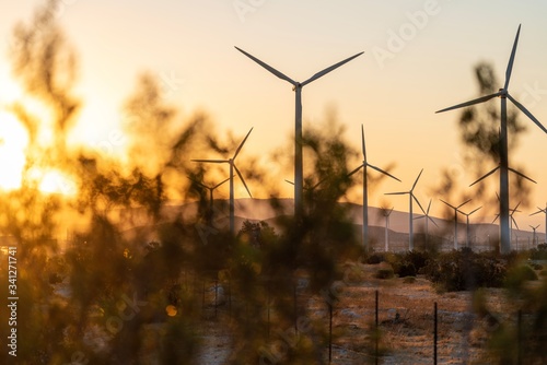 windmills for energy in the San Gorgonio pass in Southern California photo