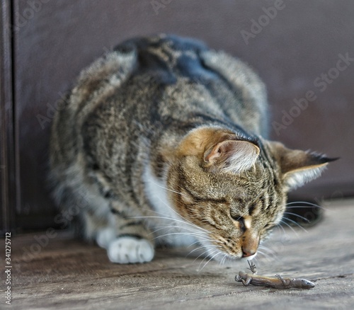 Hunter