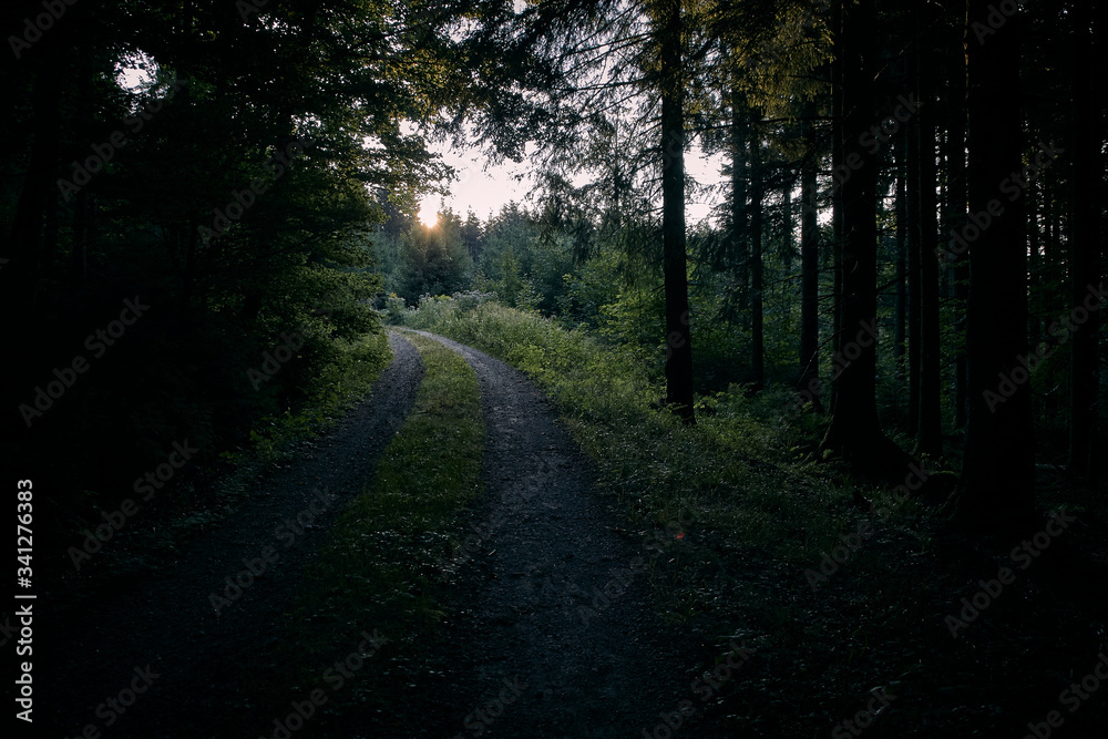 Sonnenaufgang im Schwarzwald, Spaziergang durch den Wald im Naturschutzgebiet Hornisgrinde, Baiersbronn, Baden-Württemberg, Deutschland Sonnenaufgang im Schwarzwald, Spaziergang durch den Wald im Naturschutzgebiet Hornisgrinde, Baiersbronn, Baden-Württemberg, Deutschland