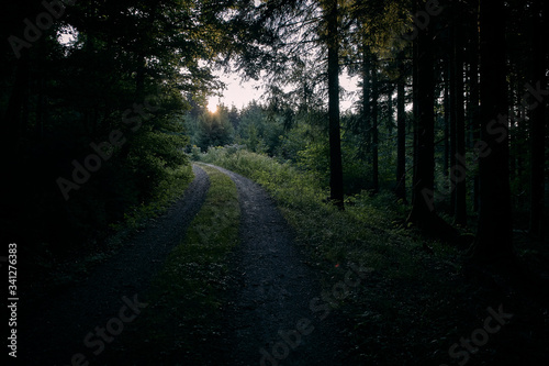 Sonnenaufgang im Schwarzwald, Spaziergang durch den Wald im Naturschutzgebiet Hornisgrinde, Baiersbronn, Baden-Württemberg, Deutschland 