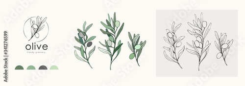 Olive logo and branch. Hand drawn wedding herb, plant and monogram with elegant leaves for invitation save the date card design. Botanical rustic trendy greenery