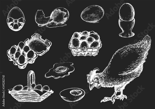 Graphic illustrations of poultry farm goods in vector. Hand drawn set of hennery production in engraving style.