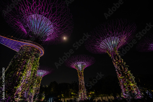 Singapore - February, 2020: Night view of Supertree Grove at Gardens by the Bay in Singapore. Spanning 101 hectares of reclaimed land in central Singapore, adjacent to the Marina Reservoir
