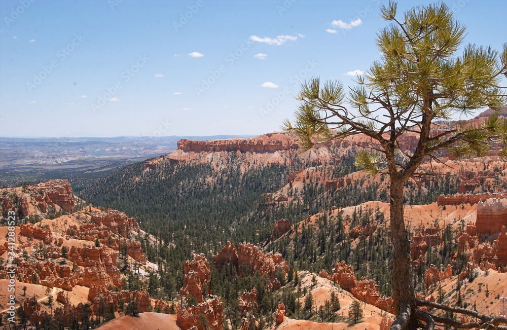 Obraz premium Bryce Canyon III