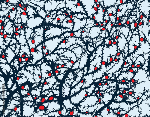 Branches of Blackthorn. Vector drawing