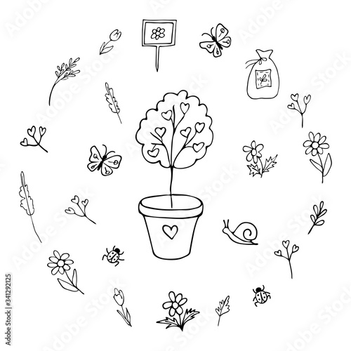 Tree sapling hand drawn black line. Set of flowers, insects, plants, seeds. Coloring. Image for your decor and design. Vector illustration Isolated objects on a white background.
