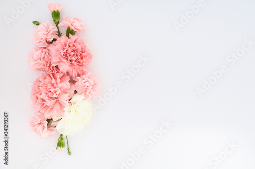 Top view of pink carnations on white background with copy space