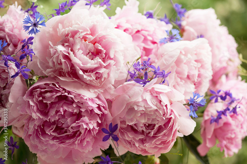 Fragment of a bouquet of pink peonies  blue cornflowers and delphiniums in the garden  blur  soft focus  close-up. Greeting card for floral background.