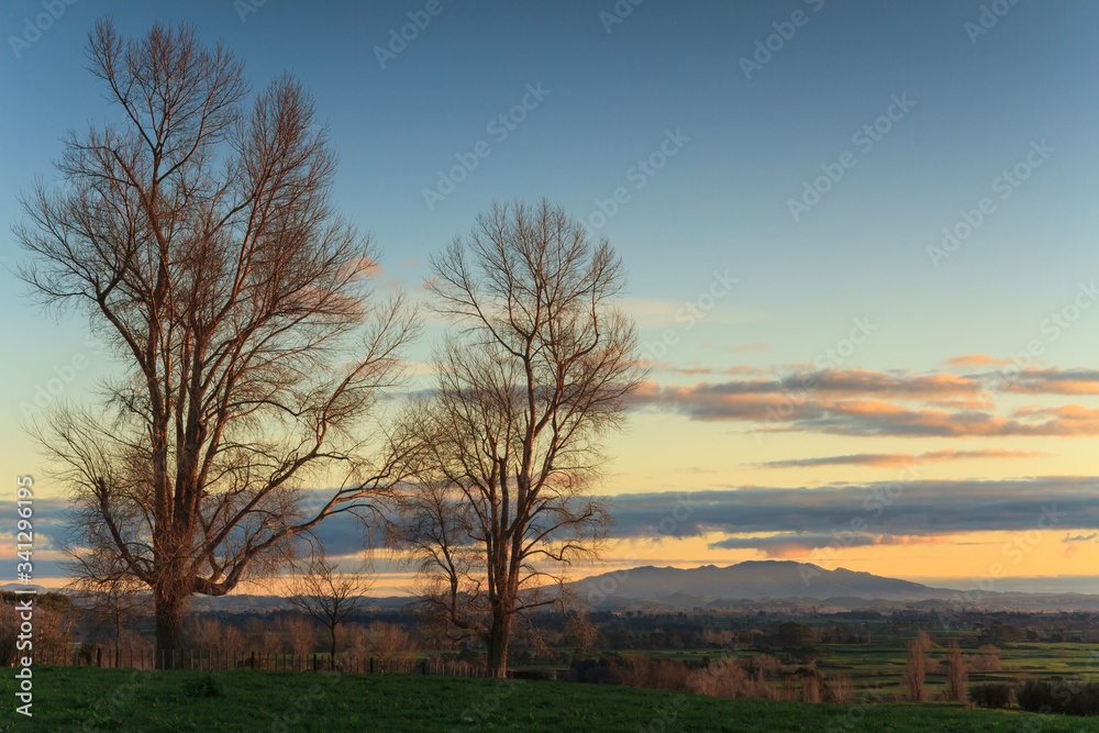 Winter landscape in the Waikato Region, New Zealand, at sunset. On the horizon is Maungatautari, or Sanctuary Mountain