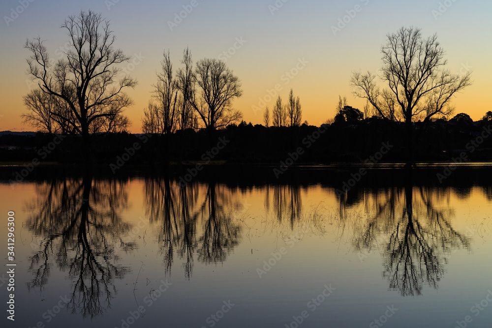 Bare winter trees reflected in the calm waters of a lake at sunset